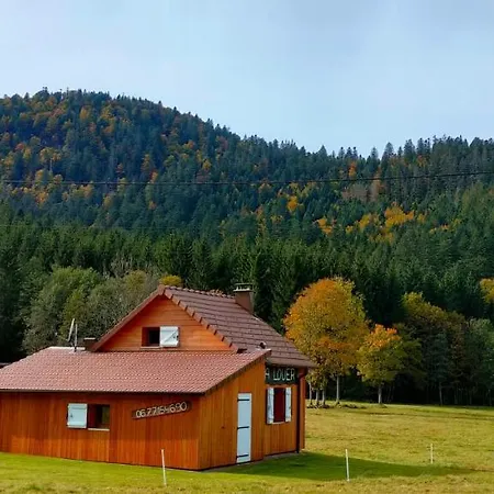 Pour Amoureux De La Nature Avec Vue Sur Le De Retournemer Xonrupt-Longemer