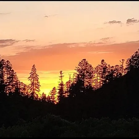 Pour Amoureux De La Nature Avec Vue Sur Le De Retournemer Chalet Xonrupt-Longemer