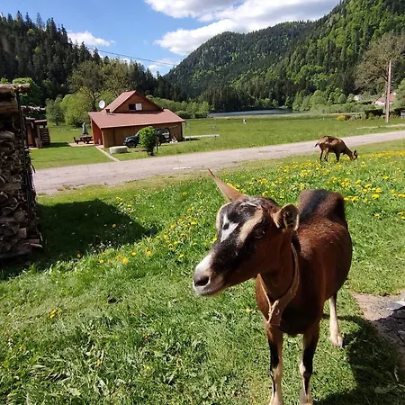 Pour Amoureux De La Nature Avec Vue Sur Le De Retournemer Chalet *