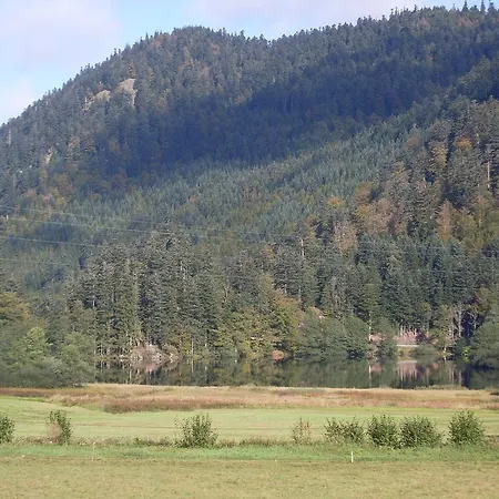 Pour Amoureux De La Nature Avec Vue Sur Le De Retournemer Chalet Xonrupt-Longemer