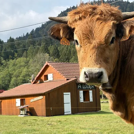 Pour Amoureux De La Nature Avec Vue Sur Le De Retournemer Chalet *