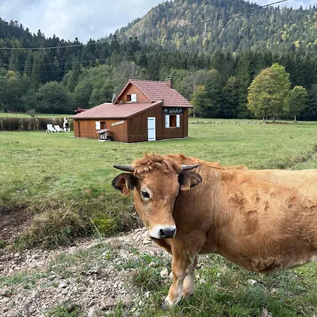 Chalet Pour Amoureux De La Nature Avec Vue Sur Le De Retournemer *