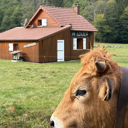 Pour Amoureux De La Nature Avec Vue Sur Le De Retournemer Chalet Xonrupt-Longemer