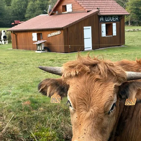 Chalet Pour Amoureux De La Nature Avec Vue Sur Le De Retournemer Xonrupt-Longemer
