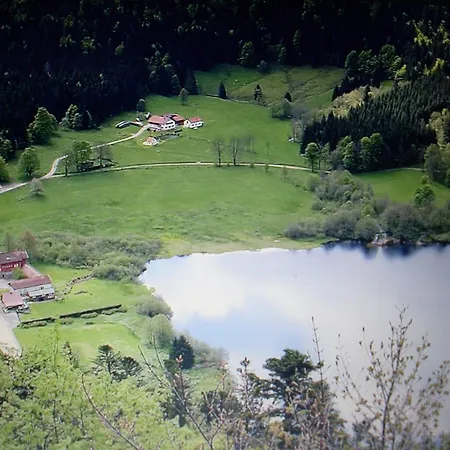 Pour Amoureux De La Nature Avec Vue Sur Le De Retournemer Chalet Xonrupt-Longemer