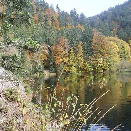 Pour Amoureux De La Nature Avec Vue Sur Le De Retournemer *