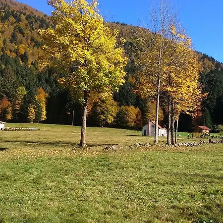Pour Amoureux De La Nature Avec Vue Sur Le De Retournemer Xonrupt-Longemer