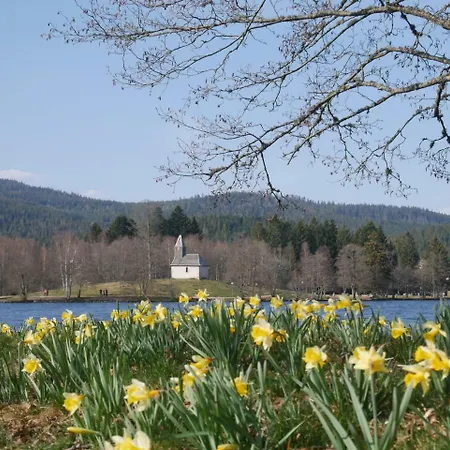 Chalet Pour Amoureux De La Nature Avec Vue Sur Le De Retournemer