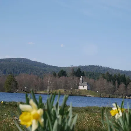 Pour Amoureux De La Nature Avec Vue Sur Le De Retournemer Xonrupt-Longemer
