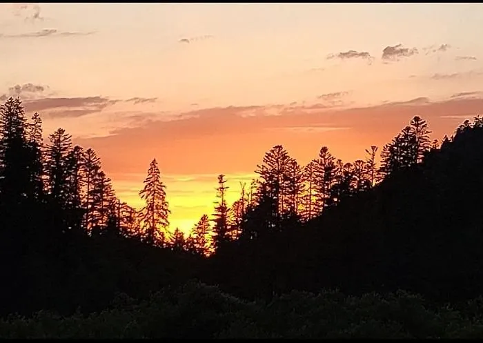Pour Amoureux De La Nature Avec Vue Sur Le De Retournemer Horská chata Xonrupt-Longemer