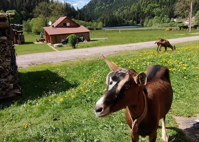 Pour Amoureux De La Nature Avec Vue Sur Le De Retournemer Horská chata *