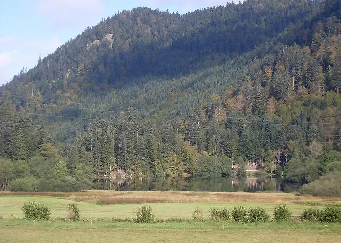 Pour Amoureux De La Nature Avec Vue Sur Le De Retournemer Horská chata Xonrupt-Longemer