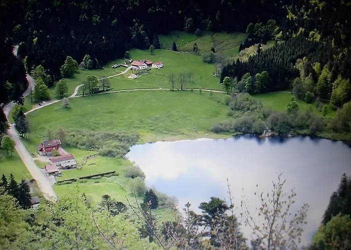 Pour Amoureux De La Nature Avec Vue Sur Le De Retournemer Horská chata Xonrupt-Longemer