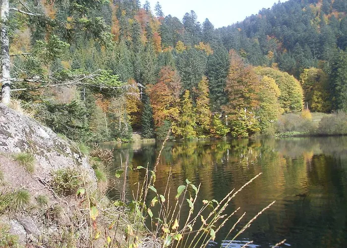 Pour Amoureux De La Nature Avec Vue Sur Le De Retournemer *