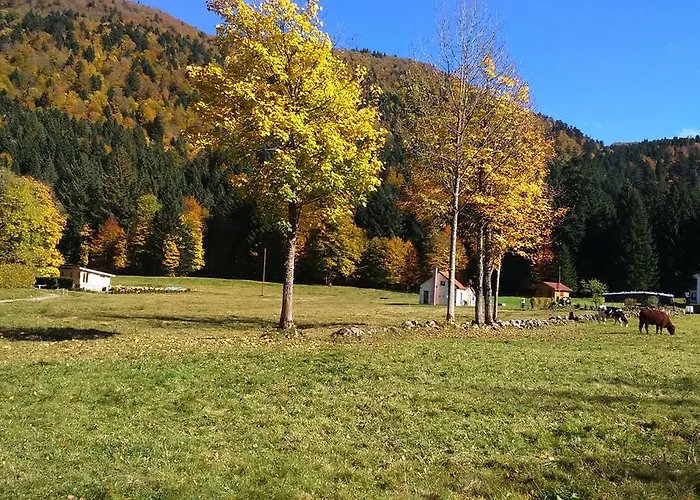 Pour Amoureux De La Nature Avec Vue Sur Le De Retournemer Xonrupt-Longemer