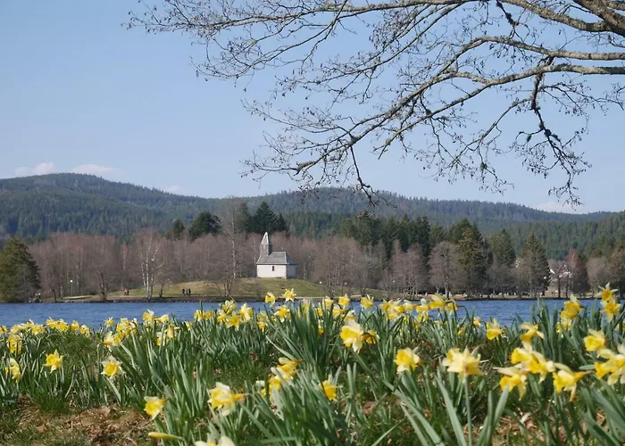 Horská chata Pour Amoureux De La Nature Avec Vue Sur Le De Retournemer