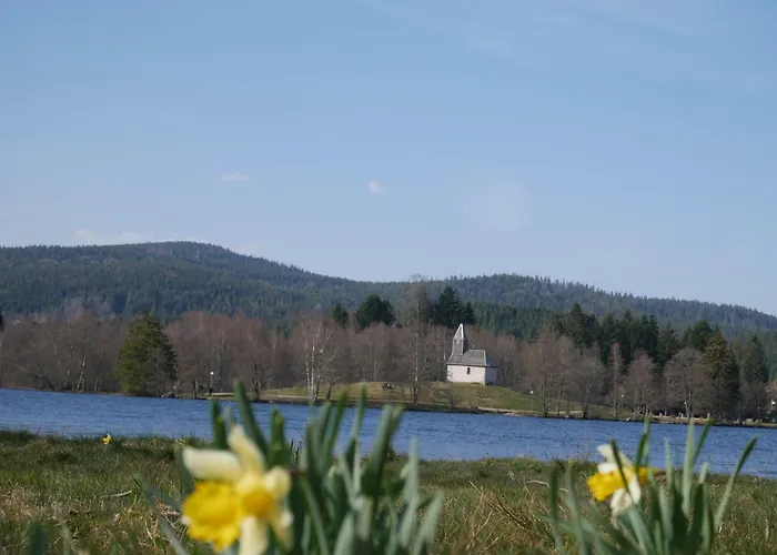 Pour Amoureux De La Nature Avec Vue Sur Le De Retournemer Xonrupt-Longemer